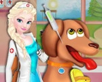 Elsa's Animal Hospital